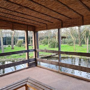 Africa - Viewing hut in Okapi aviary