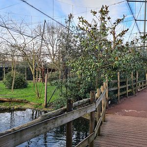 Africa - Okapi aviary general view