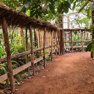 Africa - Congo greenhouse walkway