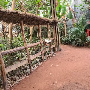 Africa - Congo greenhouse walkway