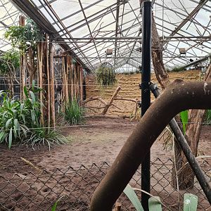 Africa - Okapi indoor habitat