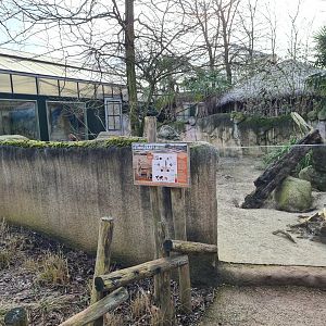 Africa - Meerkat enclosure