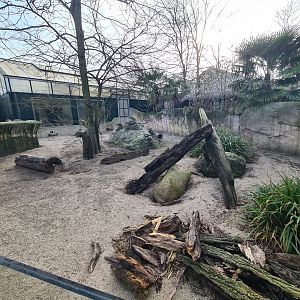 Africa - Meerkat enclosure