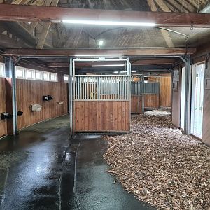 Africa - Greater kudu stables