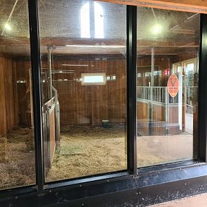 Africa - Red River hog stables