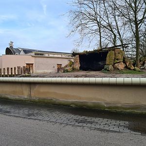 Africa - First Eastern Black rhinoceros enclosure
