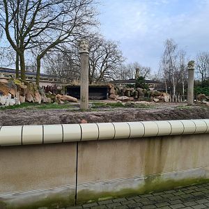Africa - Second Eastern Black rhinoceros enclosure