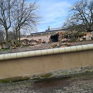 Africa - Second Eastern Black rhinoceros enclosure