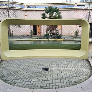 Africa - Western Pygmy hippopotamus viewing window