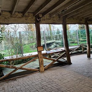 Africa - Gorilla viewing area