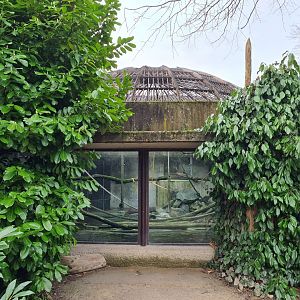 Africa - Historic gorilla habitat, now separation enclosure