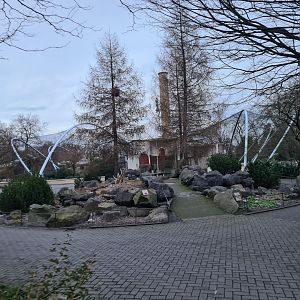 Africa - Rock Garden and Gelada complex