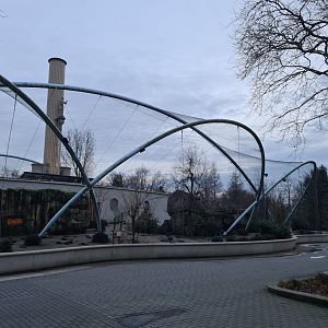 Africa - Gelada complex