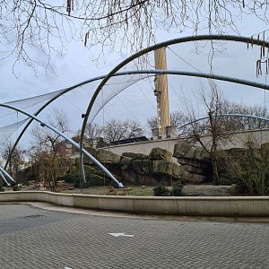 Africa - Gelada complex