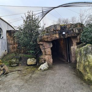 Africa - Cave entrance to Gelada complex