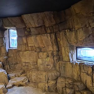 Africa - Cave viewing point to Gelada complex