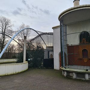Africa - Back of the Gelada complex