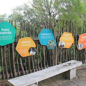 The Five Domains (for lions)