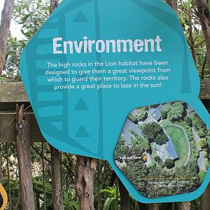 The Five Domains (for lions)