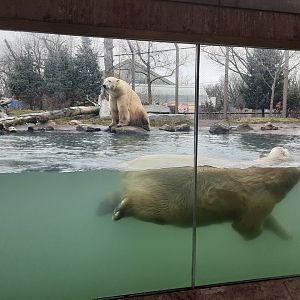 Sakari the Lifeguard?