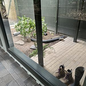 Ferret Exhibit (Outdoors)