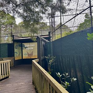 The Caracal Has Landed!