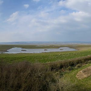 View from Estuary Tower, WWT Slimbridge, UK