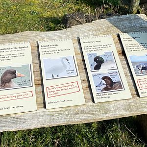 Arctic area signage, WWT Slimbridge, UK
