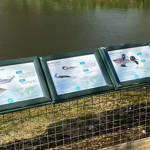 Duck Signage, WWT Slimbridge, UK