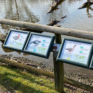 Geese of the world signage, WWT Slimbridge, UK