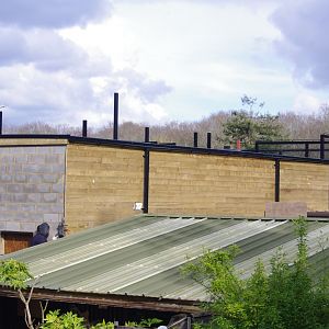 Construction progress- 23/2/2024