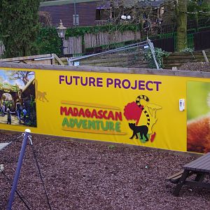 Madagascan Adventure- 8/3/2024