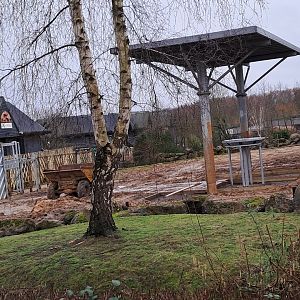 Ongoing work in the bull paddock at Elephant Kingdom- 22/2/2024