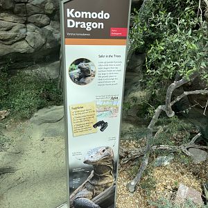 Desert: Komodo Dragon Signage