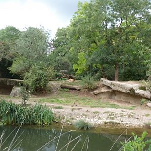 Gamgoas - Lion enclosure