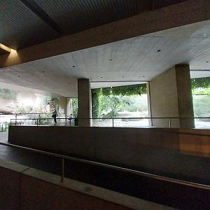 Gamgoas house - Panoramic windows in the lion enclosure