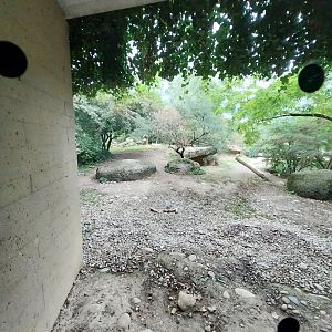 Gamgoas house - Lion enclosure