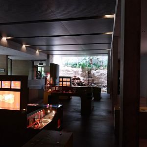 Gamgoas house - Exhibition room