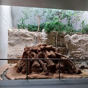Gamgoas house - Termite mound exhibit