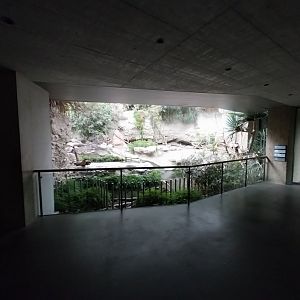 Gamgaos house - African river landscape exhibit