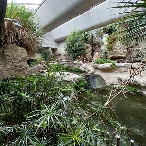 Gamgaos house - African river landscape exhibit
