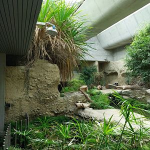 Gamgoas house - African river landscape exhibit