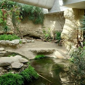 Gamgaos house - African river landscape exhibit