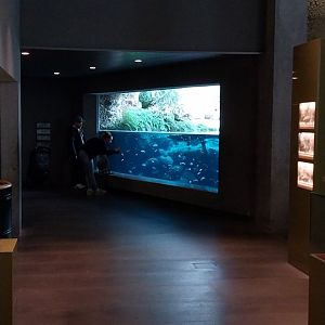 Gamgaos house - African river landscape exhibit