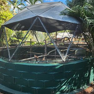 Monkey Jungle - Parrot aviary