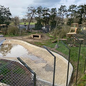 Tiger enclosure update complete with frames and expanded pond, ZSL Whipsnade
