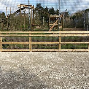 Tiger enclosure, new hard standing in viewing space, ZSL Whipsnade