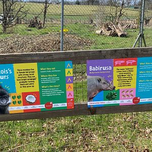 Updated Langur and Babirusa signage, ZSL Whipsnade