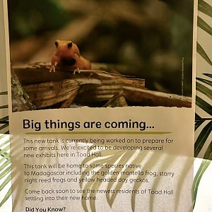 Big things are coming…