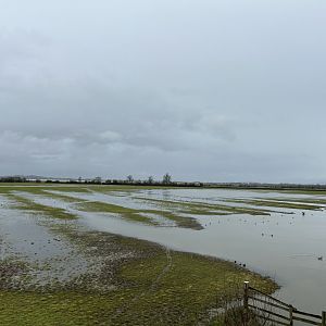 View from Estuary Tower